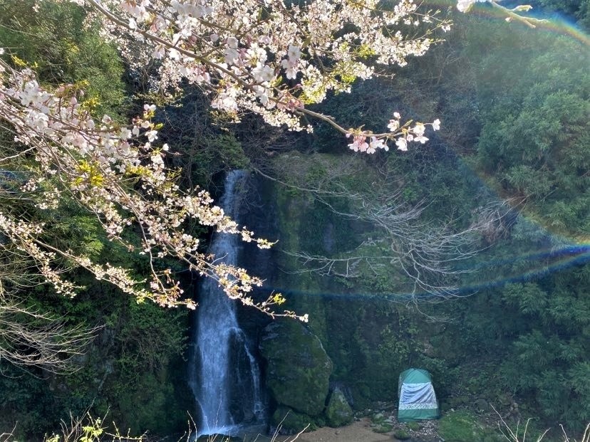 桜×滝×テントサウナ！贅沢なひとときを