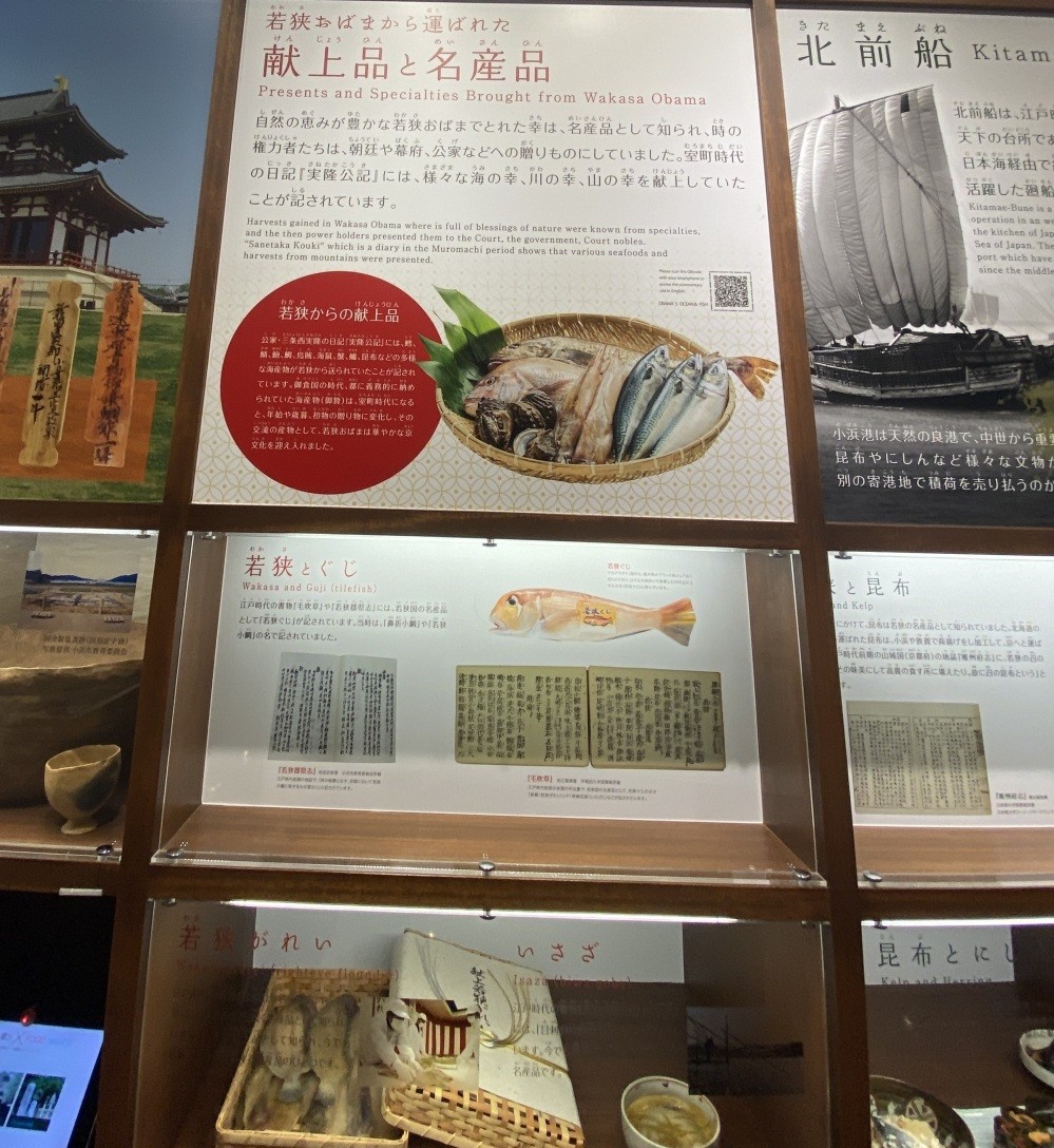 御食国の歴史や北前船文化が体系的に学べます