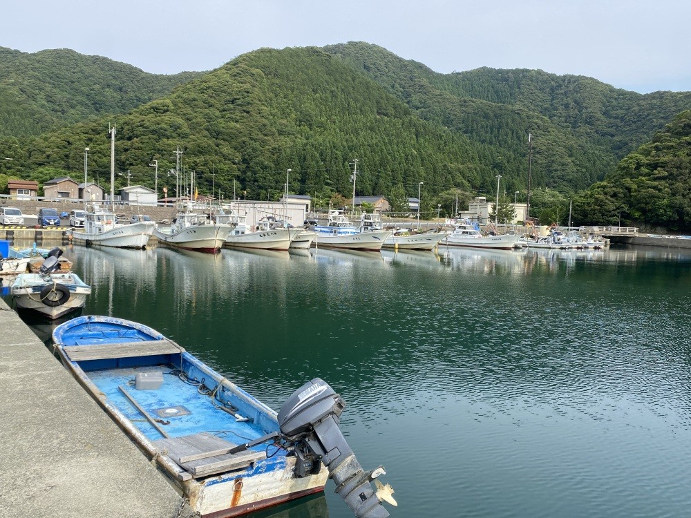 漁村の朝の風景
