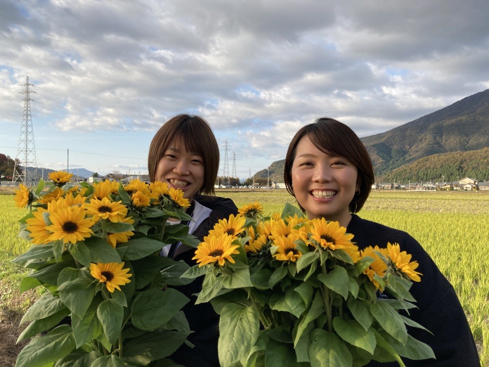 花ハスの花摘み