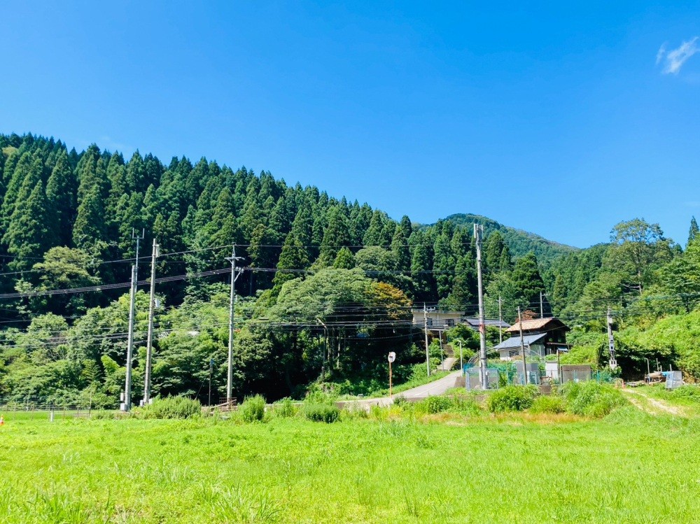 美しい里山の風景