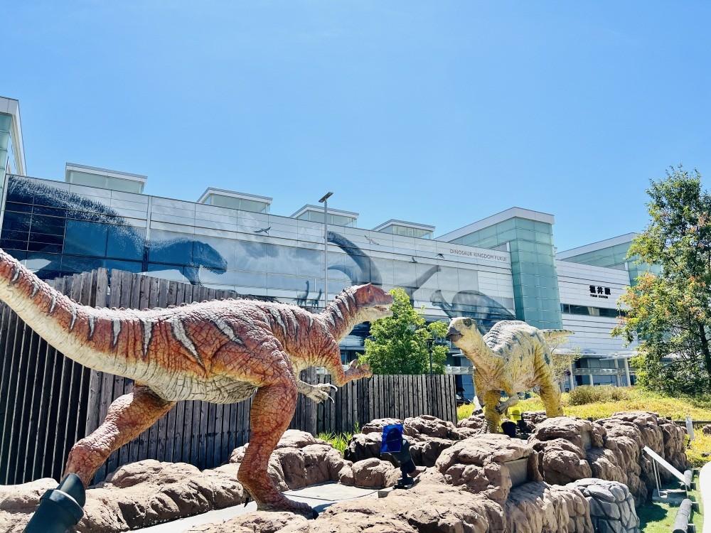 左）フクイラプトル    右）フクイサウルス