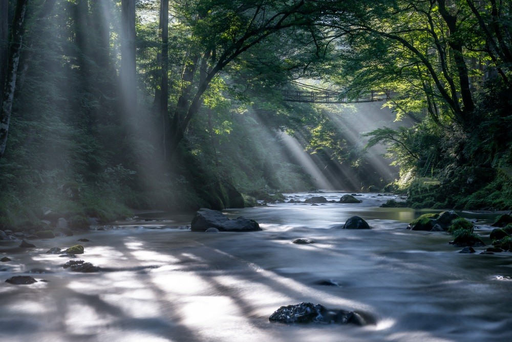 かずら橋（池田町）