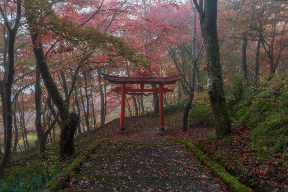 花筐（かきょう）公園