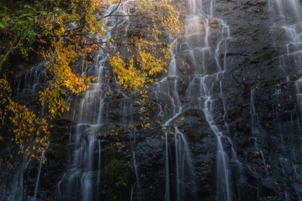秋の龍双ヶ滝