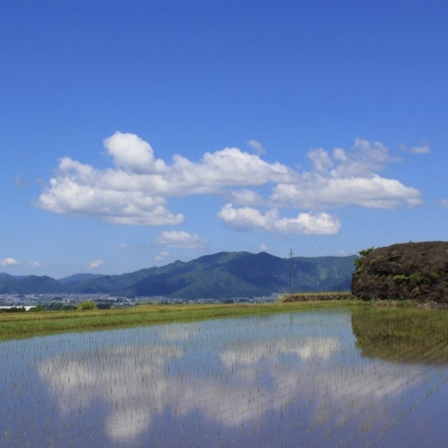 岩の塊は伏石と呼ばれる（写真　大野観光協会様）