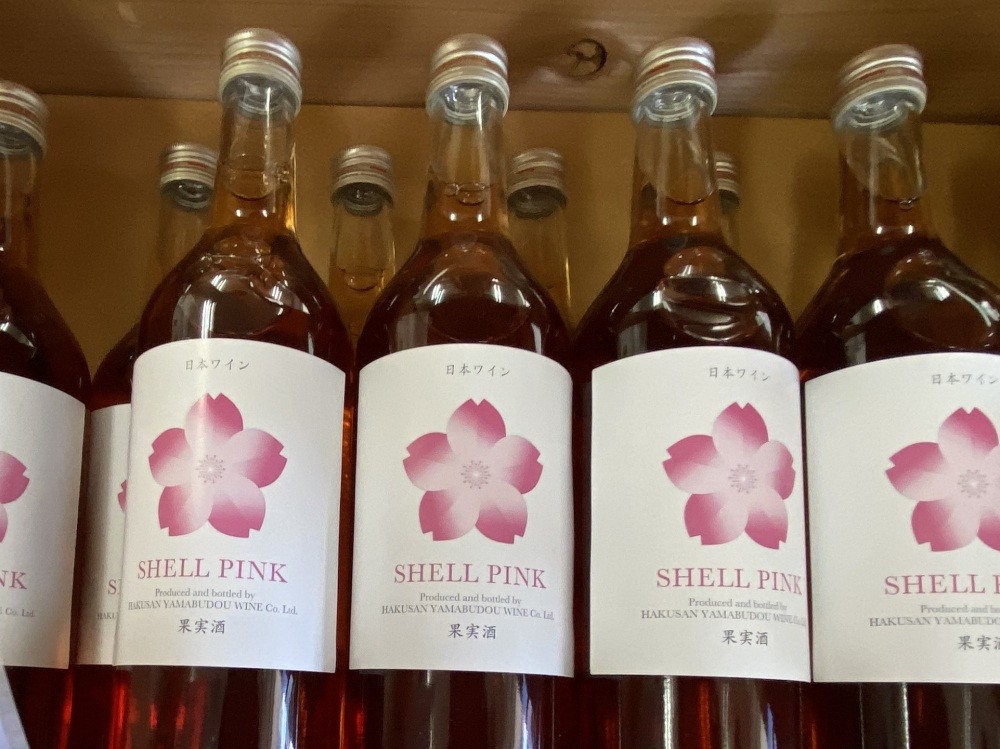 「シェルピンク」淡い桜色のロゼワイン