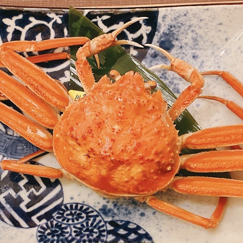 越前三国産の「せいこがに」