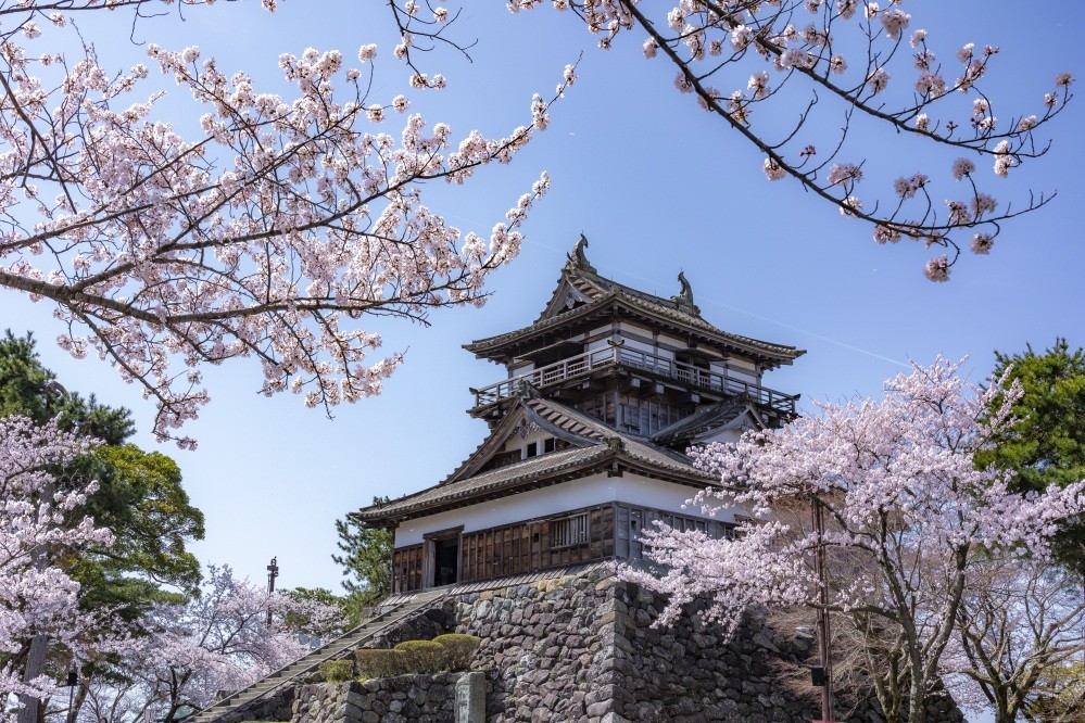 現存十二天守「丸岡城」