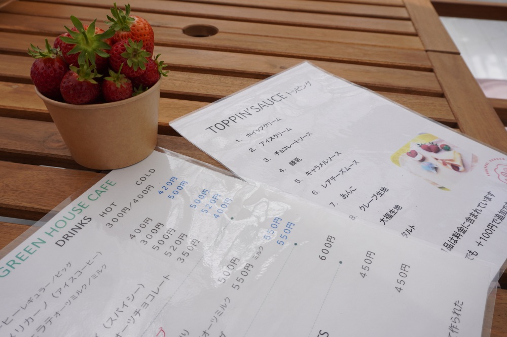 いちご摘みは、こちらのカップが片手で持てる量まで！