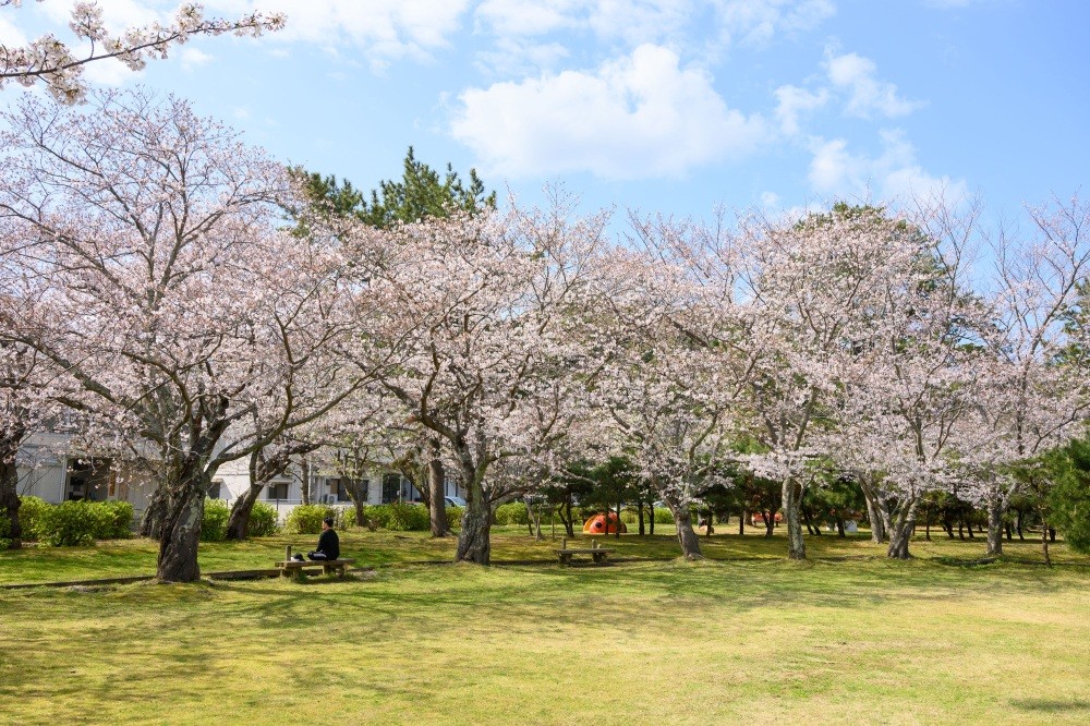 写真　若狭高浜観光協会提供