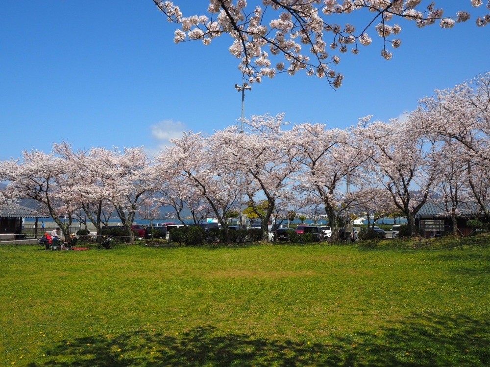 写真　若狭おばま観光協会提供