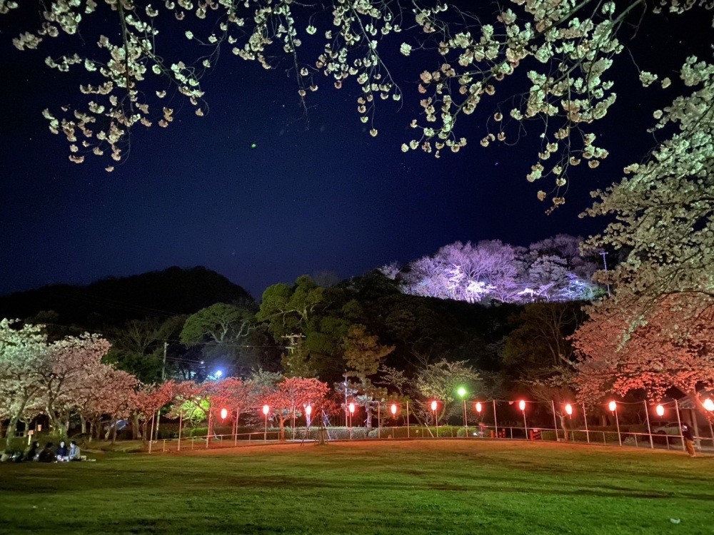 写真　若狭おばま観光協会提供