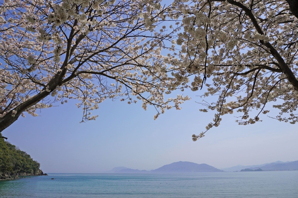 写真　若狭高浜観光協会提供