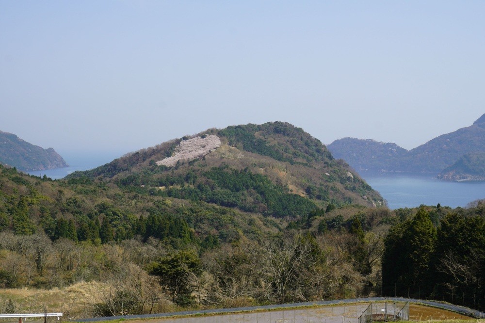 写真　若狭高浜観光協会提供