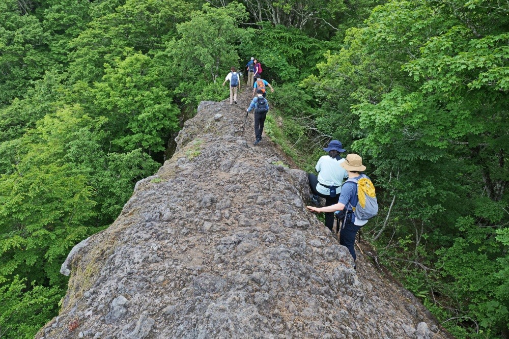 青葉山登山