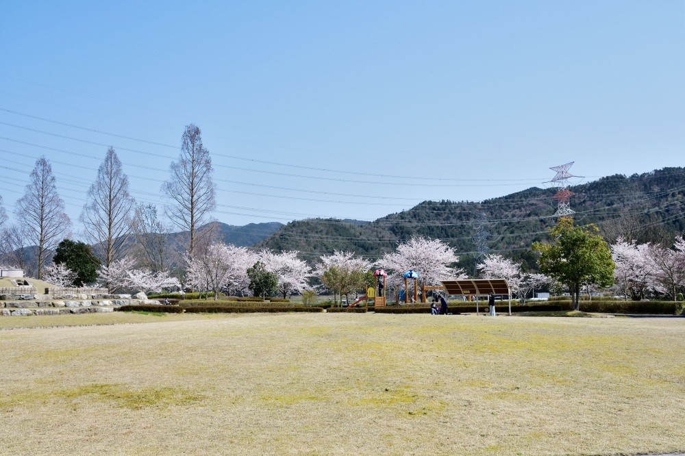 佐分利川公園