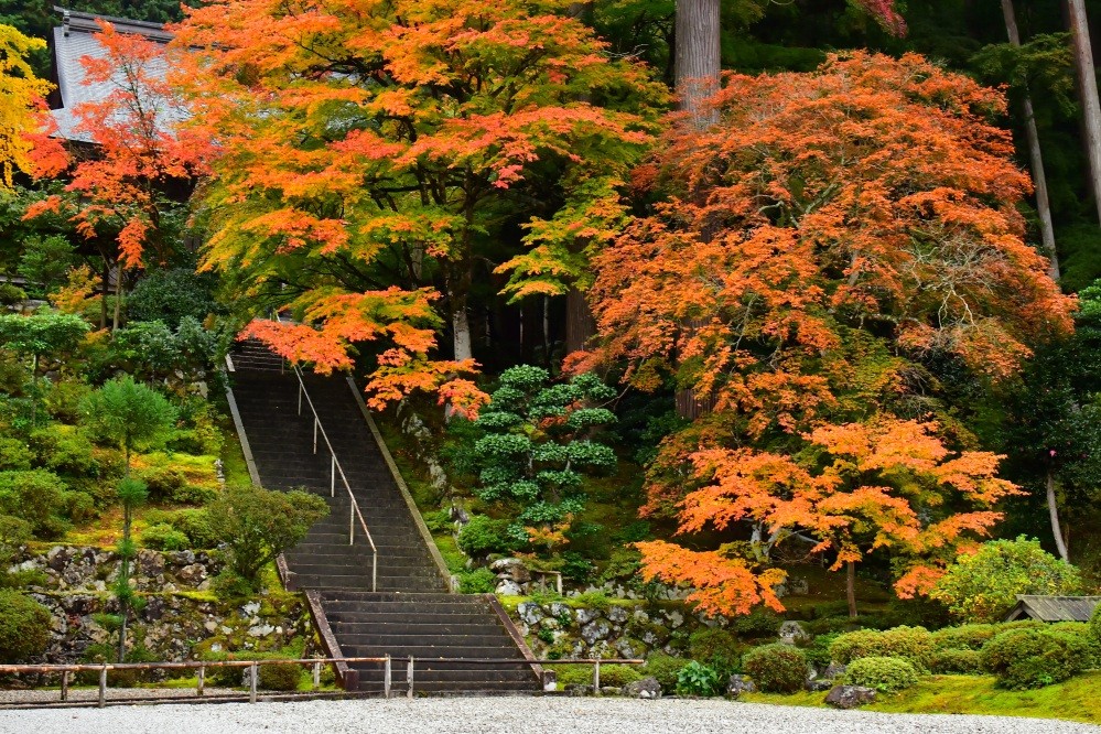 萬徳寺