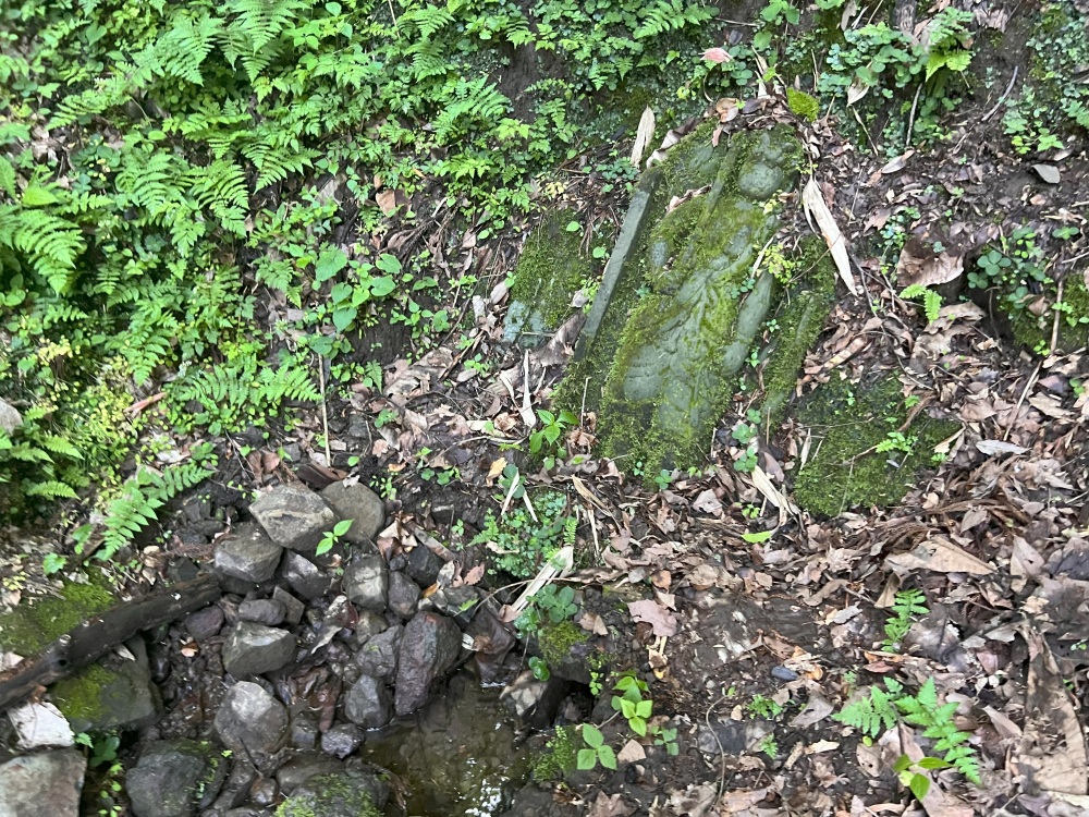 水量はこの日は少なかったですが常に湧出している感じ。