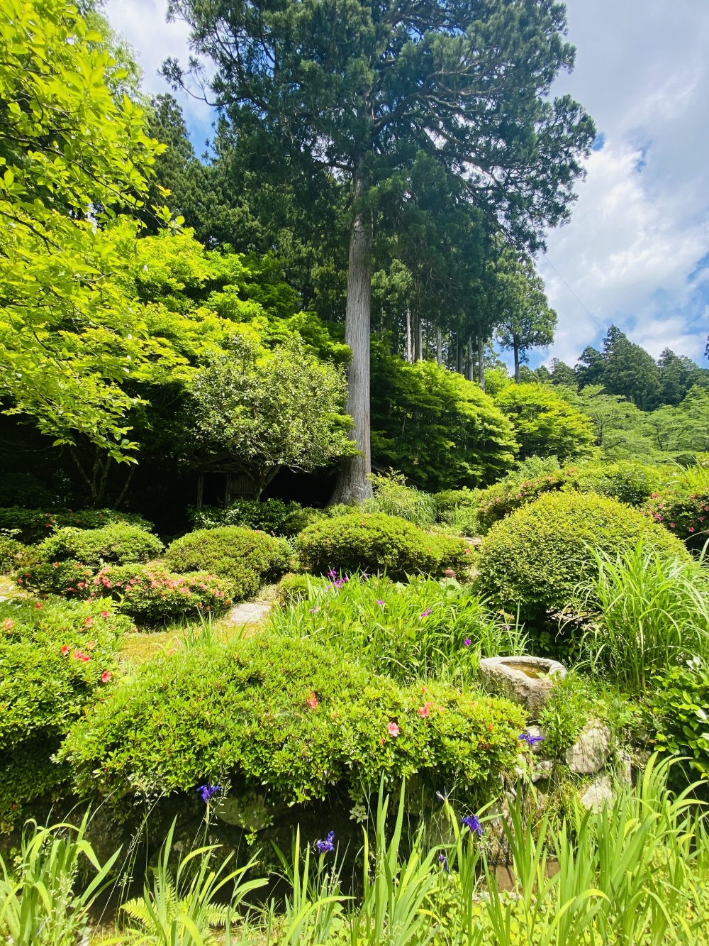 庭園