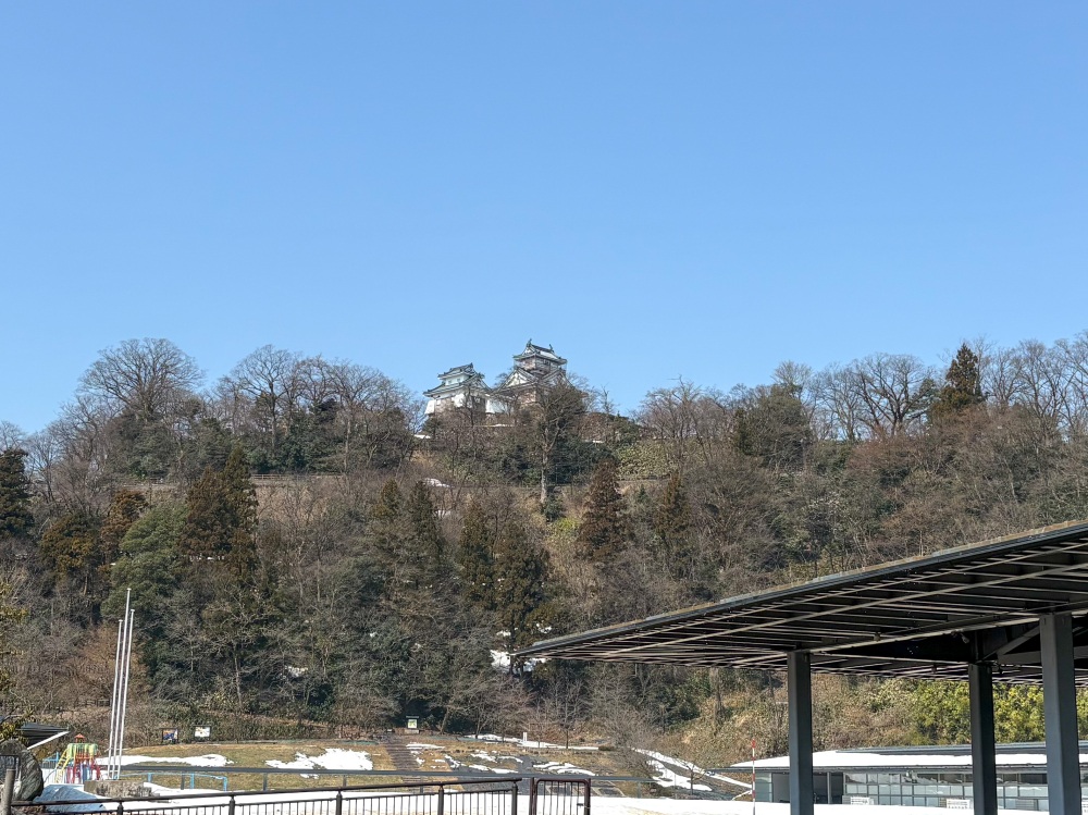 お城の下から見た越前大野城