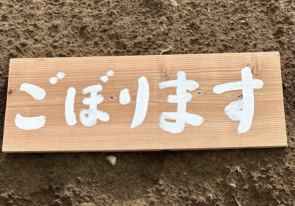 福井弁です（わかりますか？）