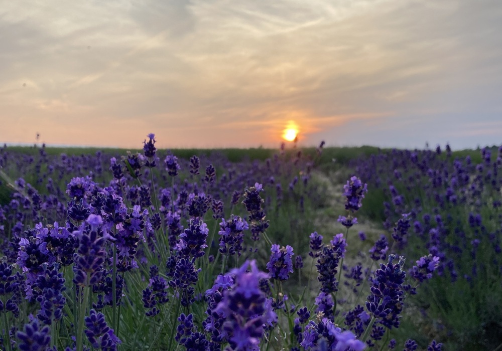夕陽の時間帯も好きです