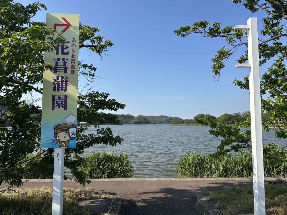 入場口