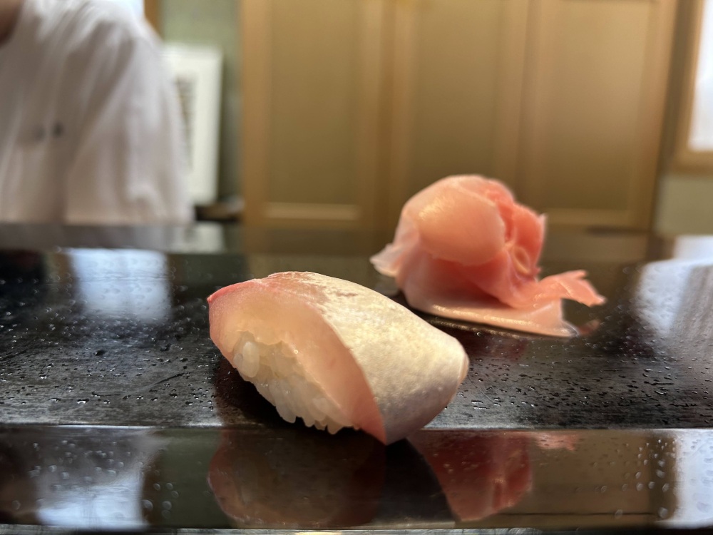 ツバス（ブリの幼魚）