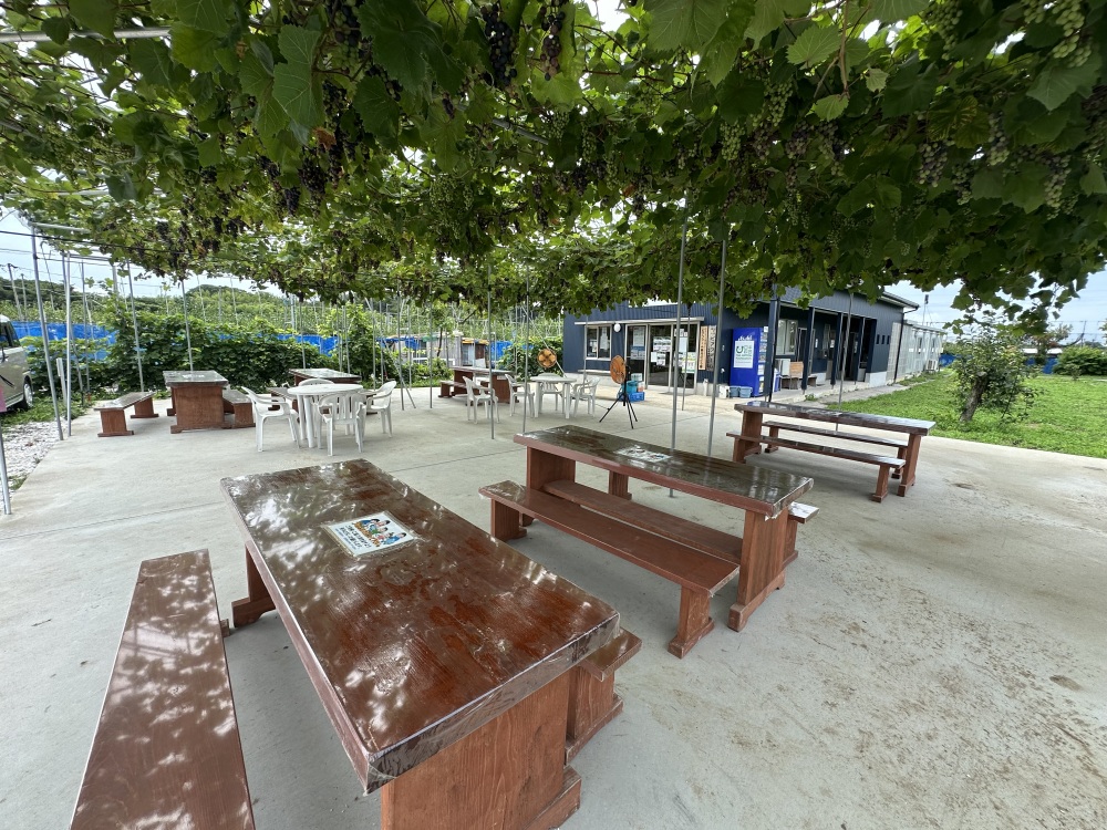 音楽が流れる農園内