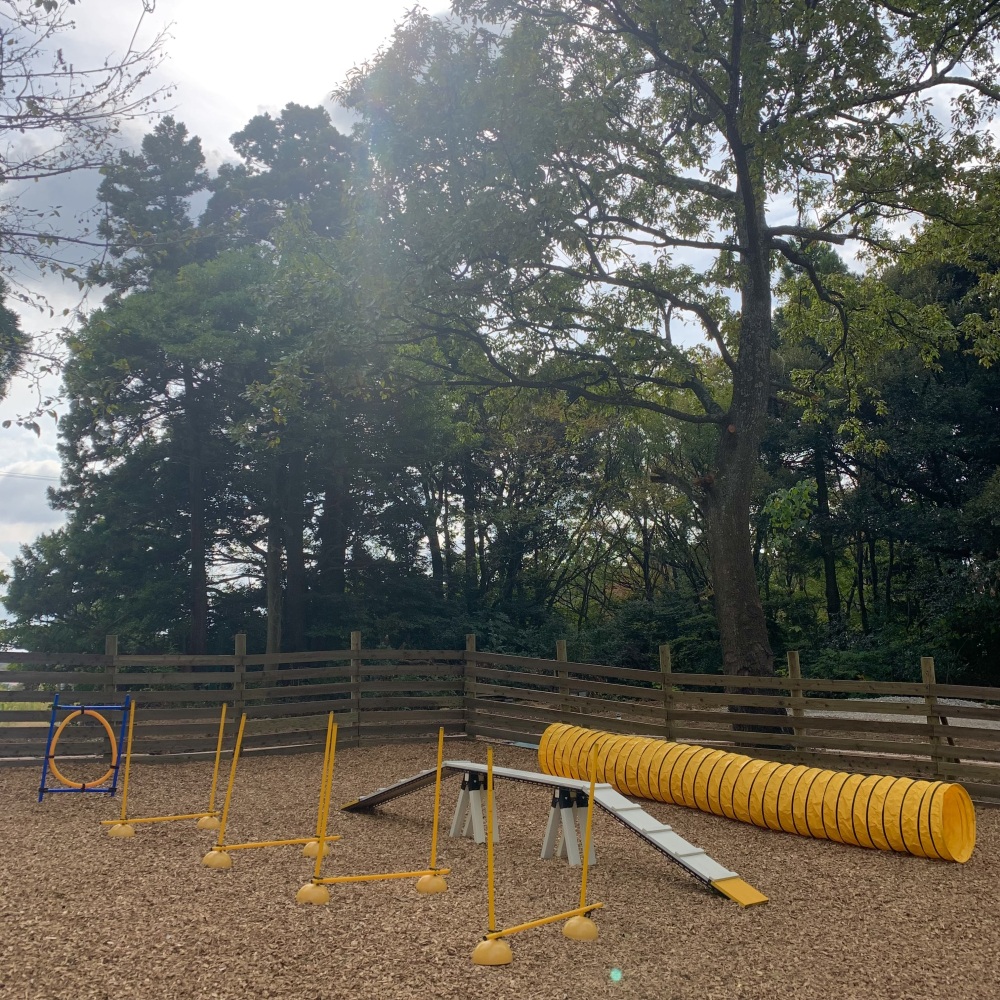 施設内にはドックランもあります。