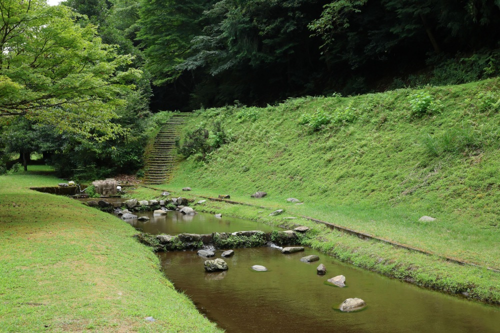 魚つかみ取り場