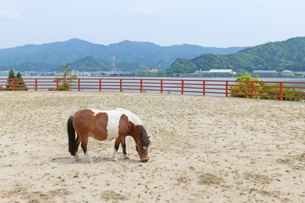 青戸ベイサイドヒルズ