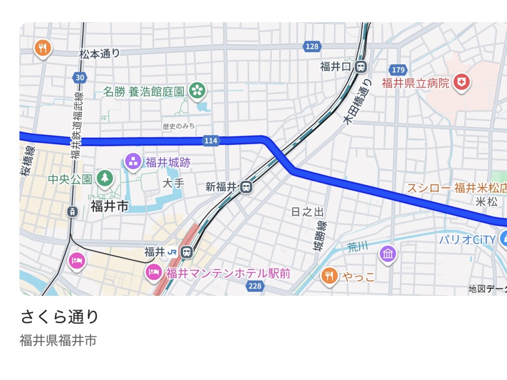 Googleマップより(青色が「さくら通り」です)