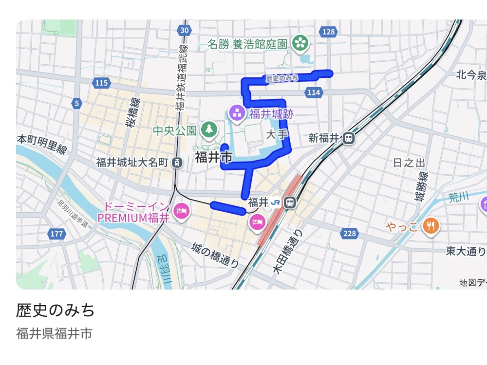 Googleマップより(青色が「歴史のみち」です)