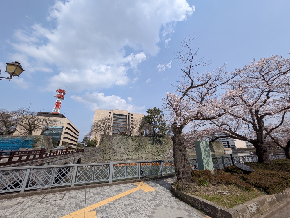 ちょうど左側が、櫓の建設中。通称「月見櫓」と呼ばれる南西側の櫓です