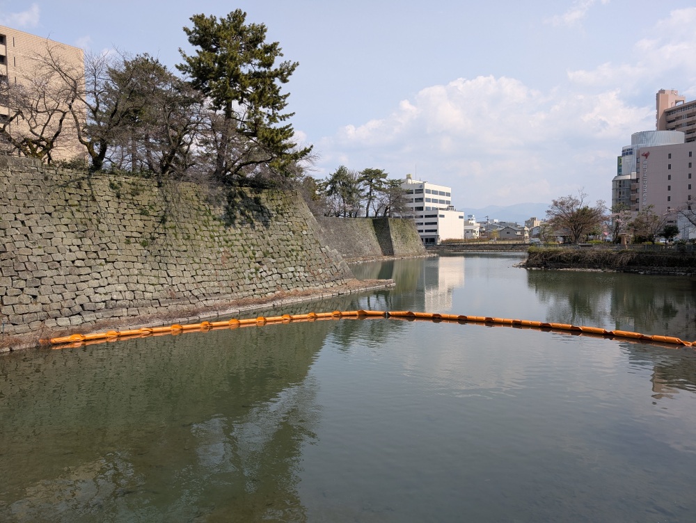 街と城を結ぶ橋の上から。このお堀の水はかつて10㎞先の九頭竜川から用水路を整備して引いてきました