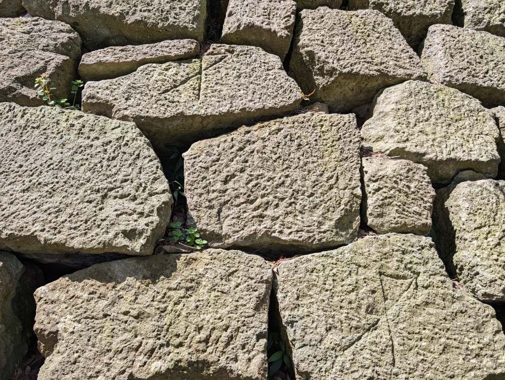 石垣に付いている印は石工集団の印。他にもいろんな印があるので見つけてみてください