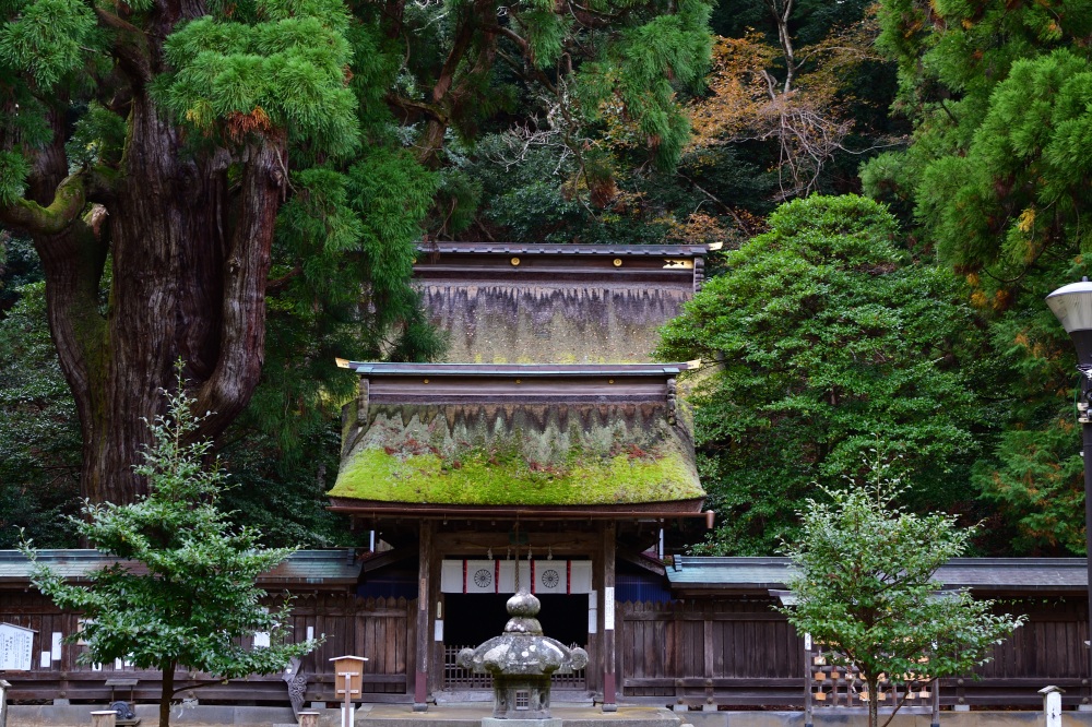 若狭姫神社