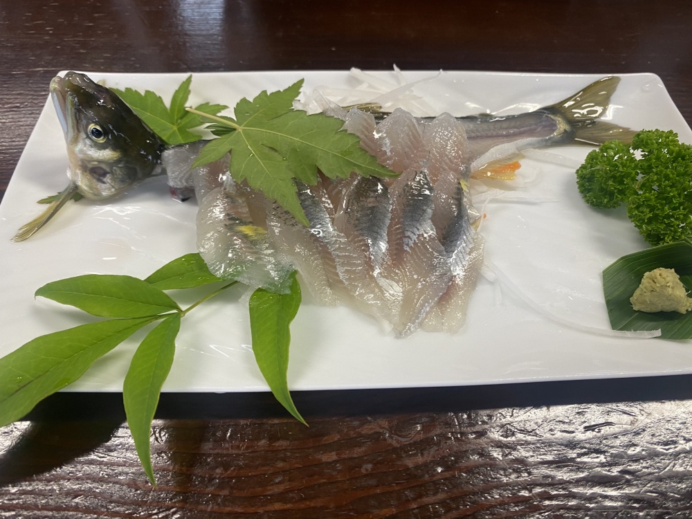 鮎のお刺身