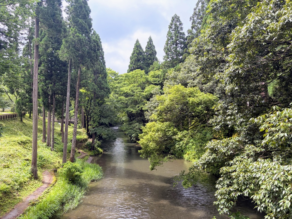 大雨の後で川が濁っていますが、普段はとても透き通っています