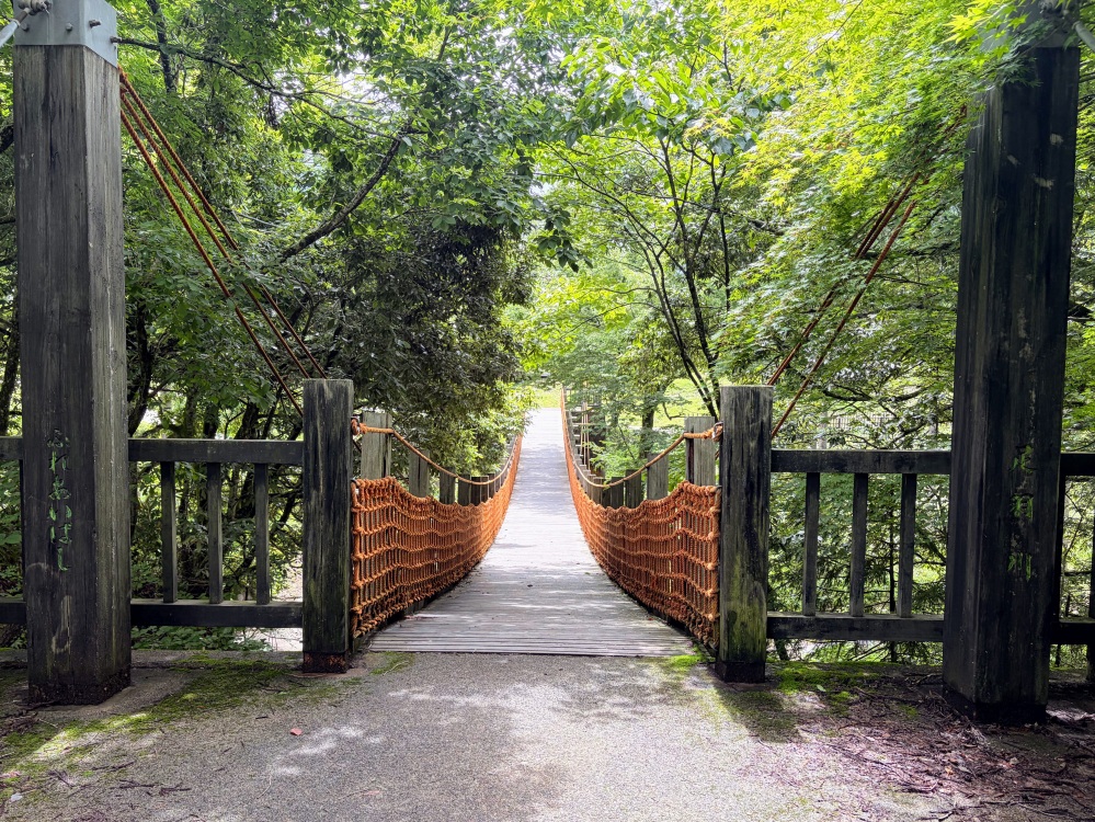 近くの吊り橋。とても頑丈なので安心して渡れます