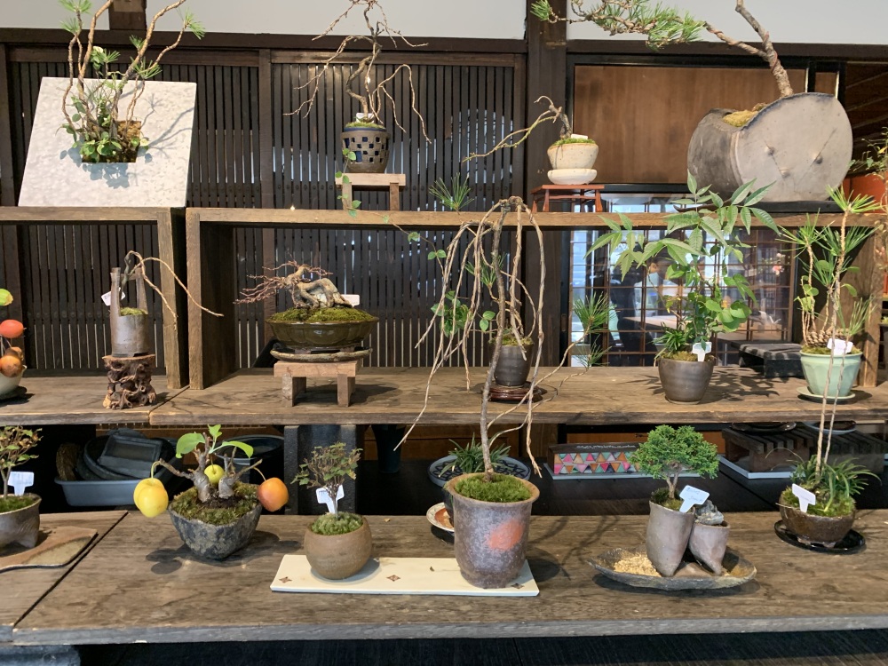 みくに園 三國湊店