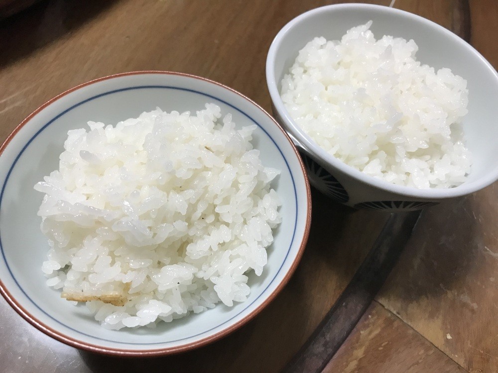 福井の有名なお米、食べ比べてみました！