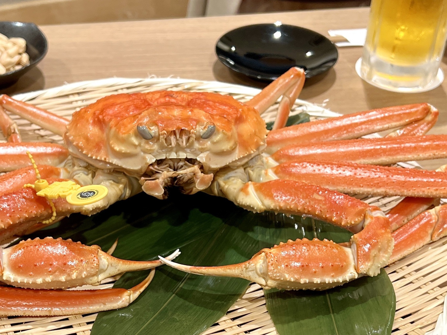 福井駅周辺で気軽に食べられる！【越前がに】の美味しい料理大特集