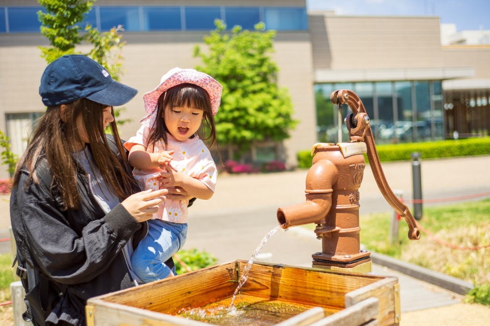 子連れで福井を楽しむなら「武生中央公園」！遊園地が1,000円遊び放題！？【福井県越前市】