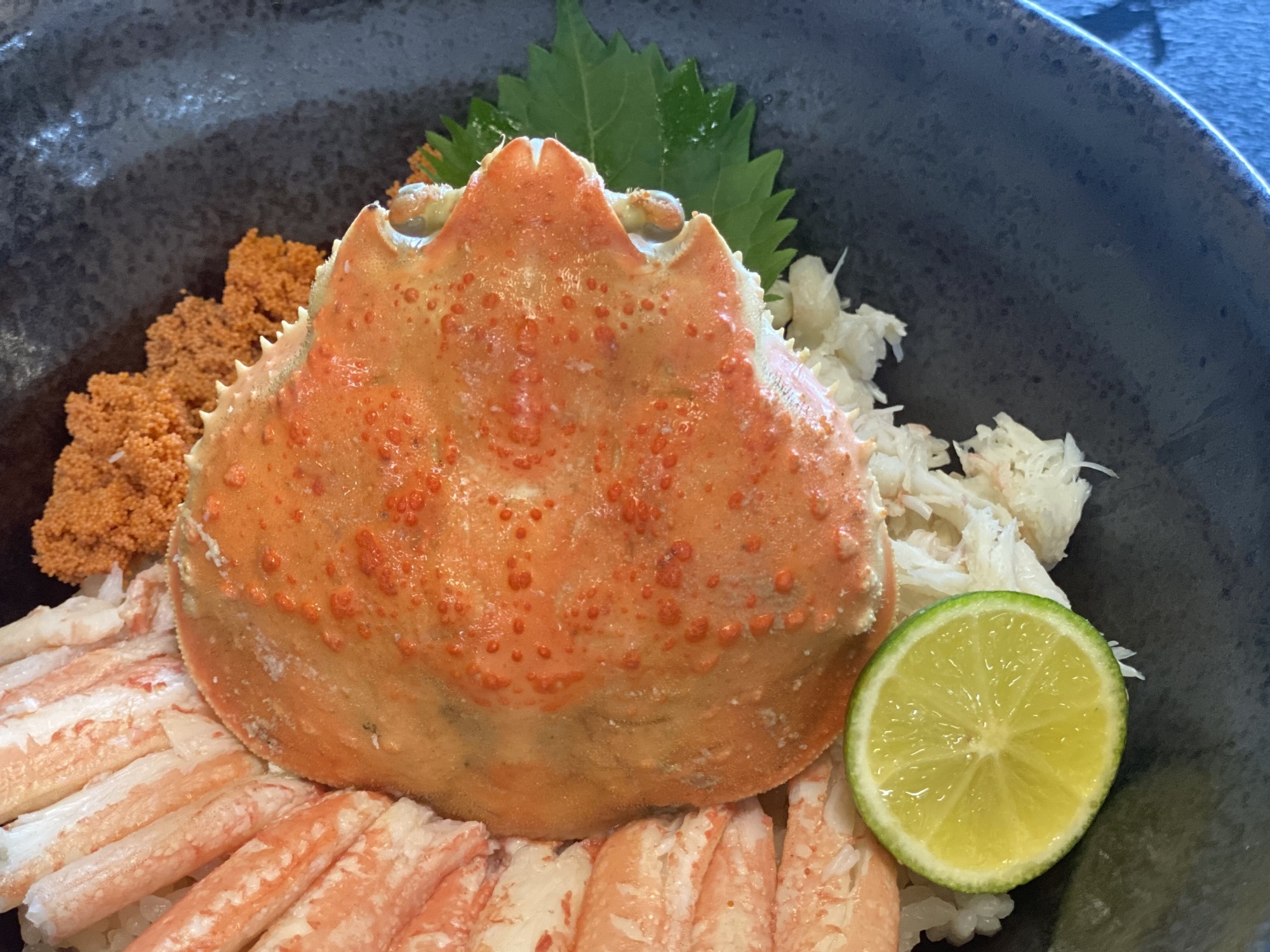 【期間限定】福井の冬の風物詩!シーズンファイナル!!せいこ丼を食べつくせ!おすすめ4選