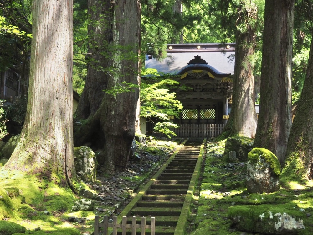 電車とバスで楽しむ！永平寺ぶらり旅レポート