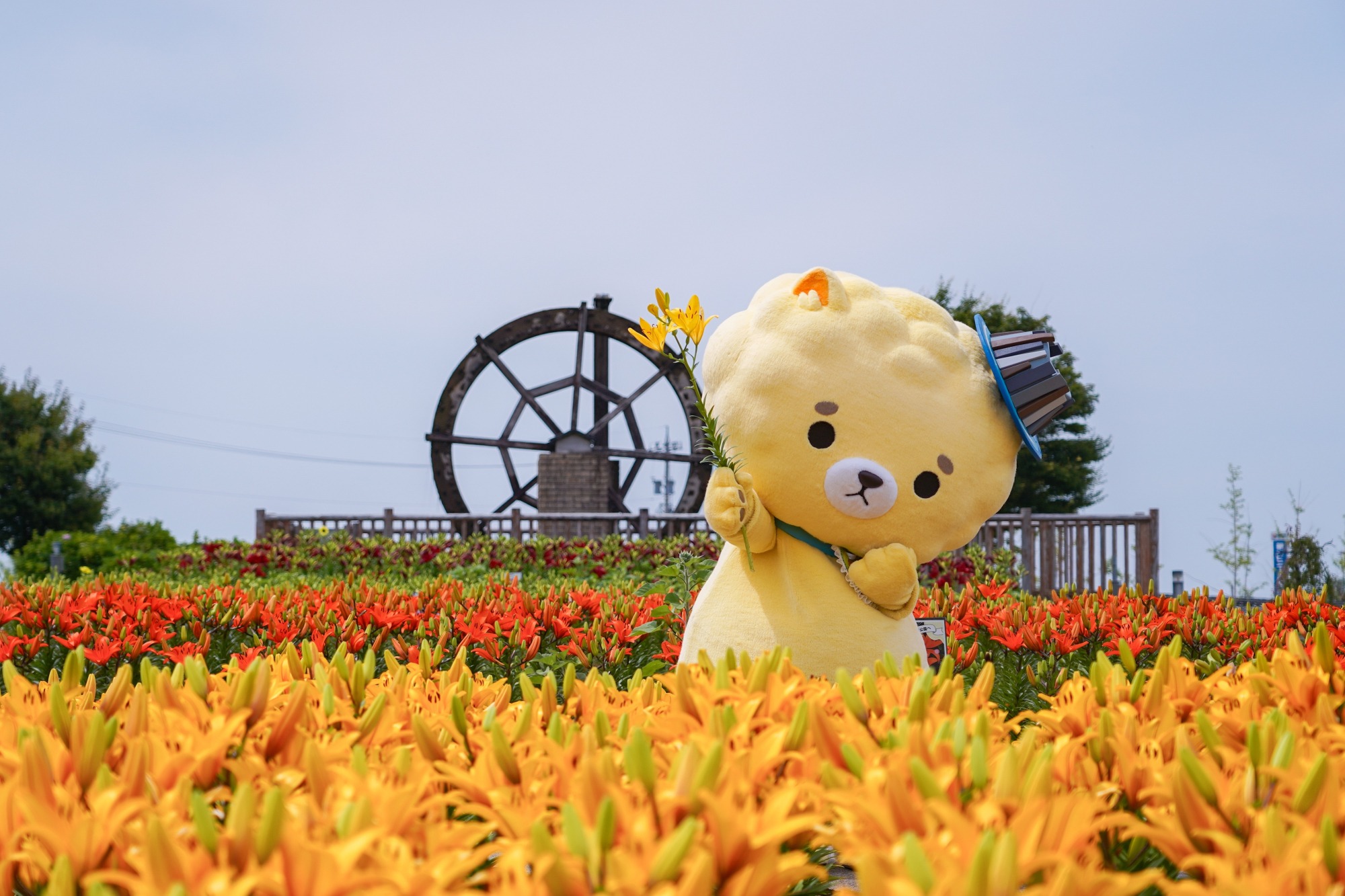 【福井県】恐竜だけじゃない！今アツいご当地キャラ5選【体験＆おみやげガイド】