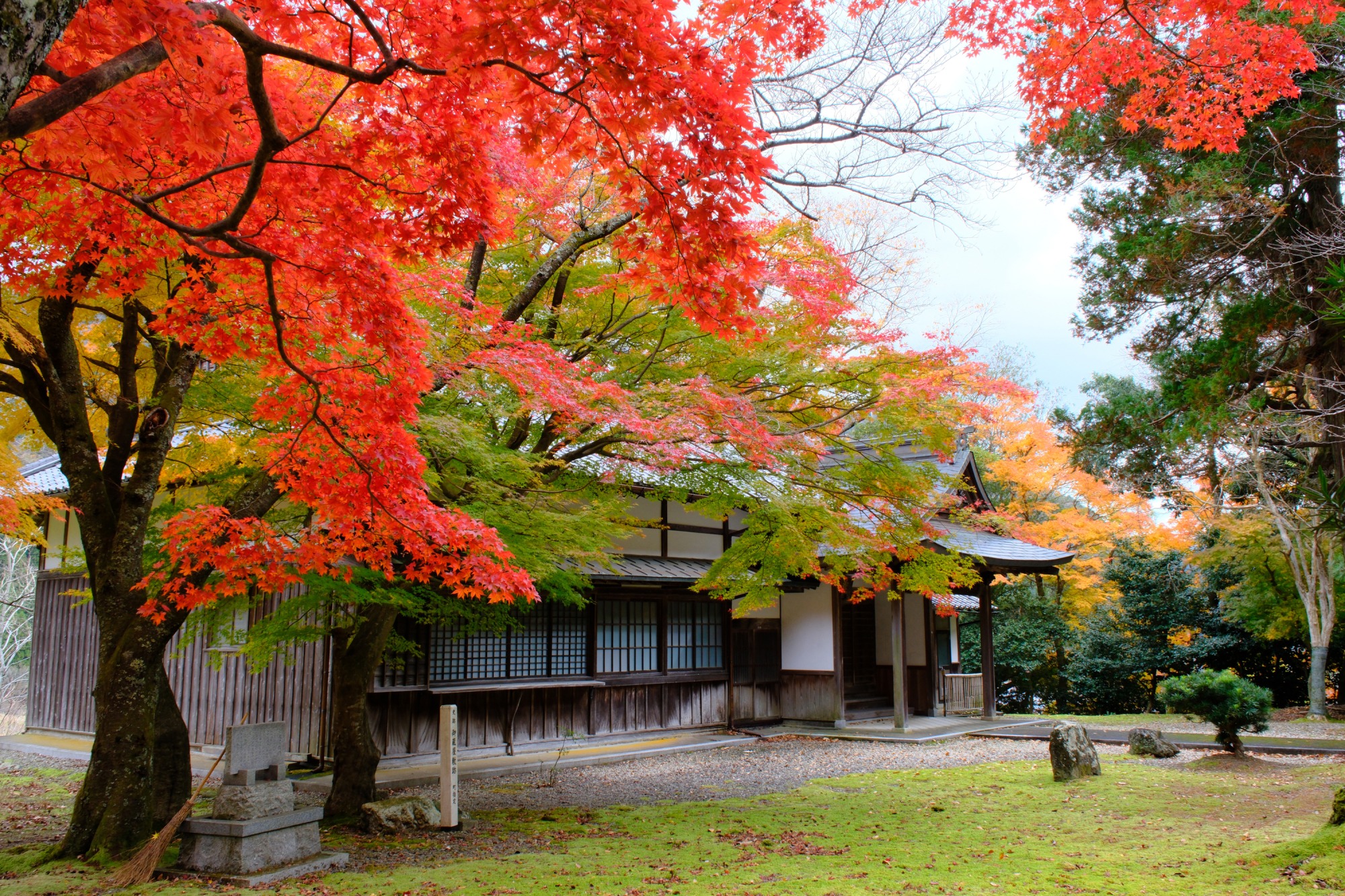 【熊川宿の秋を楽しむ】鯖街道の歴史と紅葉を歩く！極上グルメ・地酒・特産品に出会う大満足の散策ガイド！